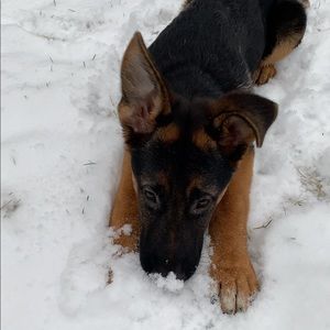 Meet your Posher, Leah